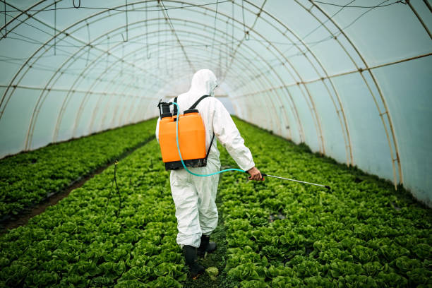 Best Affordable Pest Control Services  in Jacksonville, FL