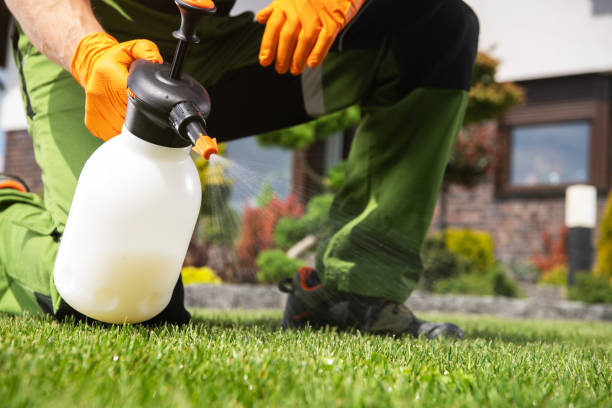 Insect Control in Jacksonville, FL