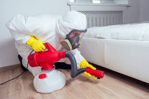 Best Mosquito Control Services  in Jacksonville, FL