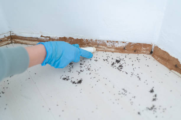 Best Cockroach Control Services  in Jacksonville, FL