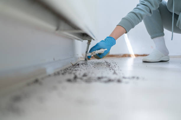 Best Pest Inspection Near Me  in Jacksonville, FL